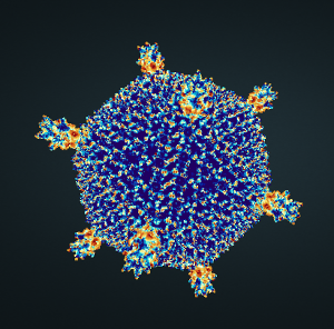Icosahedral-Virus