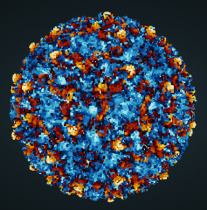 Dengue-Virus