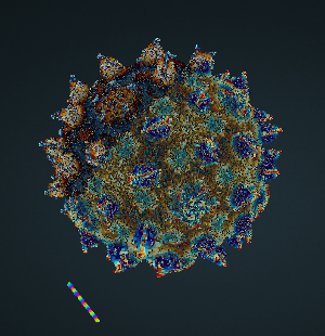 Polio-Virus