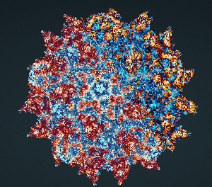 Polio-Virus