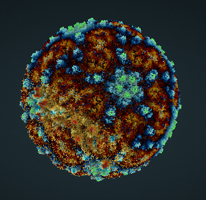 Japanese-Encephalitis-Virus