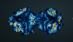 SARS-Virus